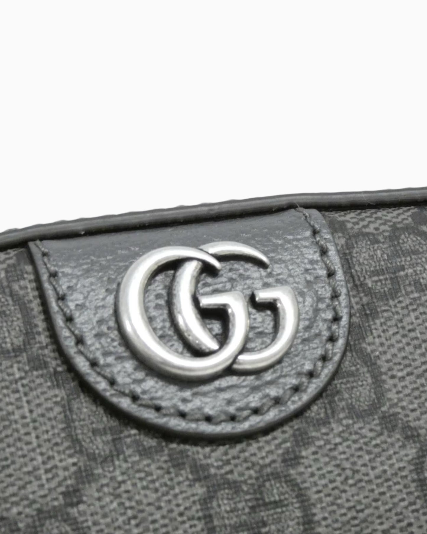 Gucci Ophidia GG Canvas Camera Shoulder Bag